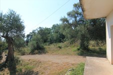 Property 32916 photo 12