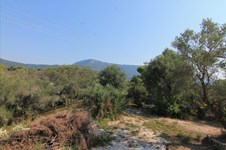 Property 32916 photo 14