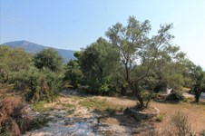 Property 32916 photo 15