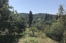 Property 32917 photo 1