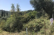 Property 32917 photo 3