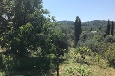Property 32917 photo 6