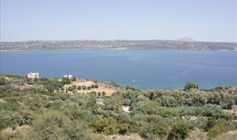 Land 13680 m² in Crete