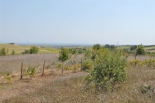 Property 32945 photo 2