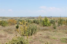Property 32945 photo 8