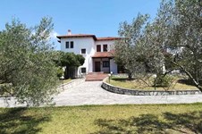 Property 32946 photo 1