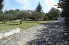 Property 32946 photo 10