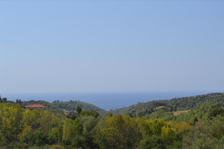 Realty photo 1