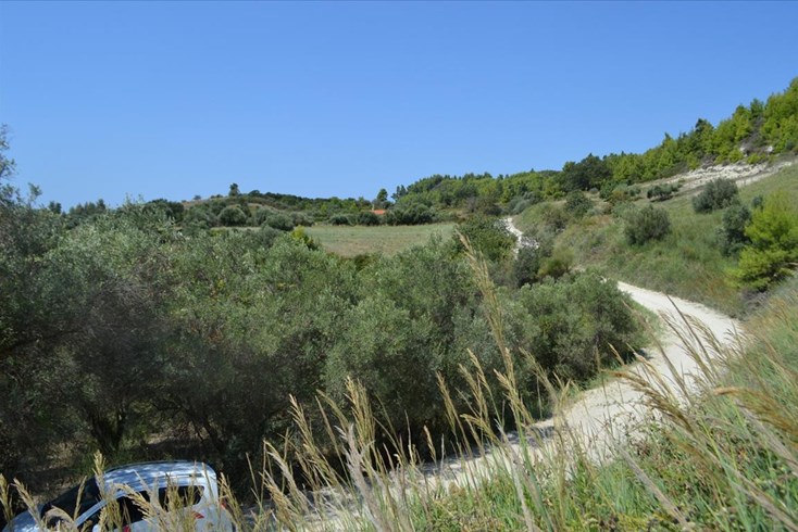 Realty photo 2