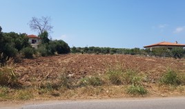 Land 3000 m² in Kassandra, Chalkidiki