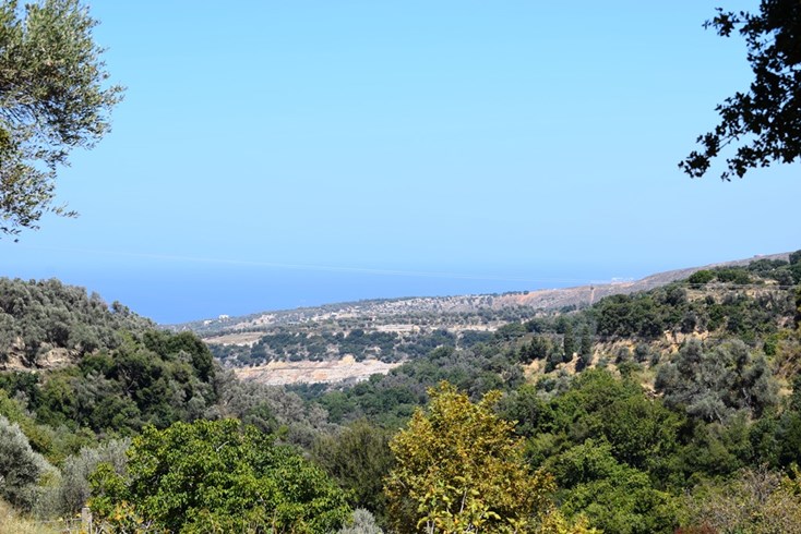 Realty photo 1