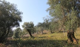 სასტუმრო 4000 m² კორფუზე