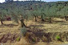 Property 33170 photo 4