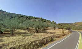 Zemljište 15000 m² na Istočnom Peloponezu