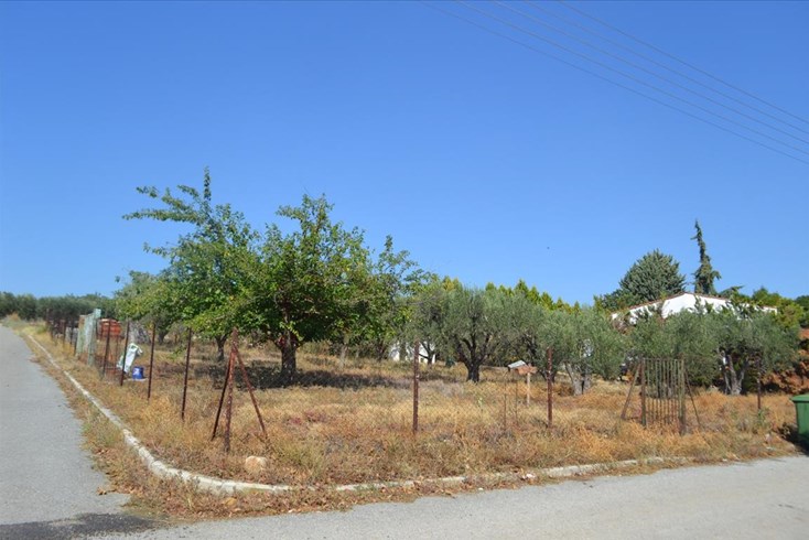 Realty photo 1