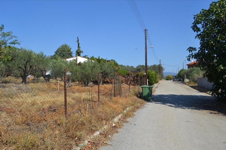 Realty photo 3