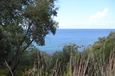 Property 33235 photo 8
