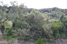 Property 33235 photo 11