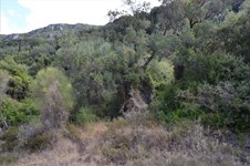 Property 33235 photo 12