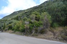 Property 33235 photo 13