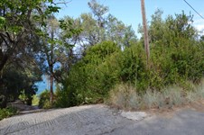 Property 33235 photo 15