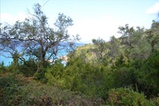 Property 33235 photo 16