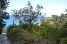 Property 33235 photo 17