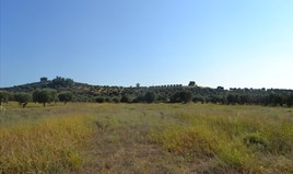 Land 7700 m² in Kassandra, Chalkidiki