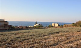 Земельна ділянка 25000 m² на Криті
