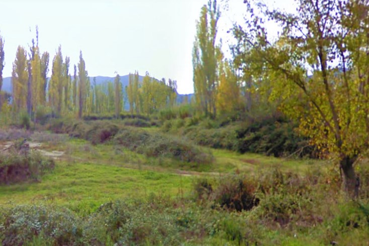 Realty photo 3