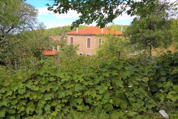 Realty photo 3