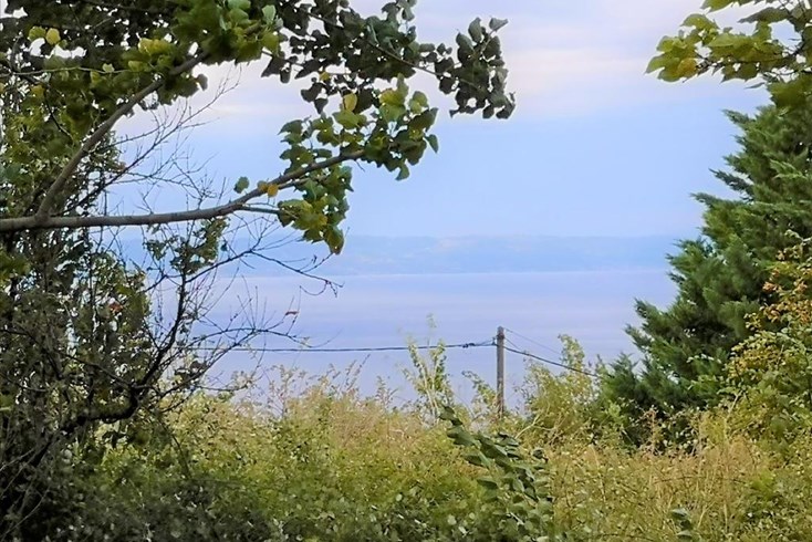 Realty photo 1