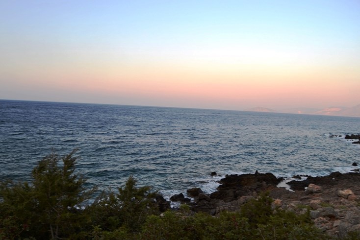 Realty photo 2