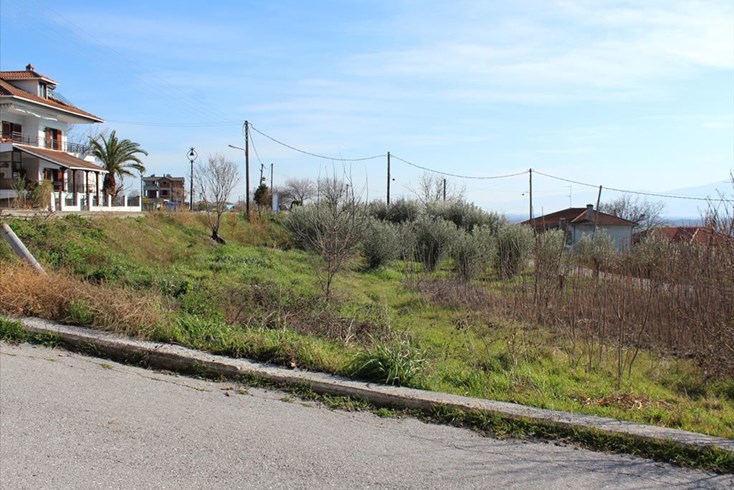 Realty photo 1
