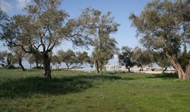 Land 21083 m² in Corfu