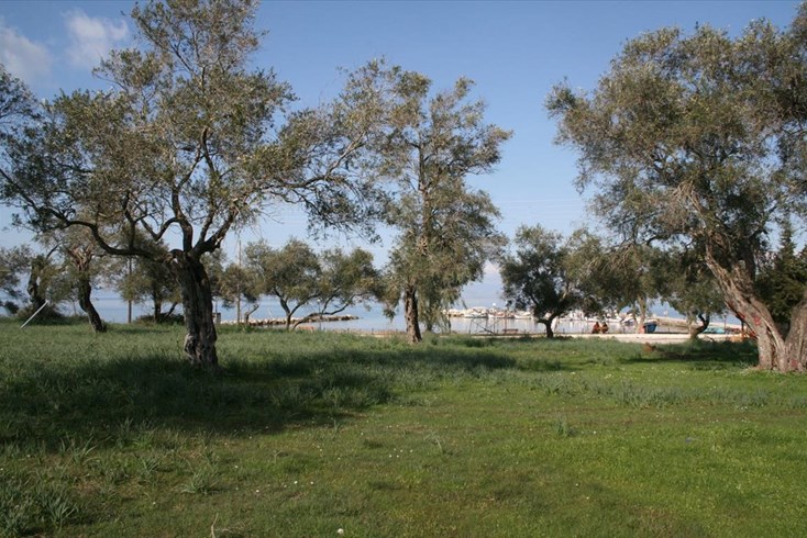 Realty photo 1