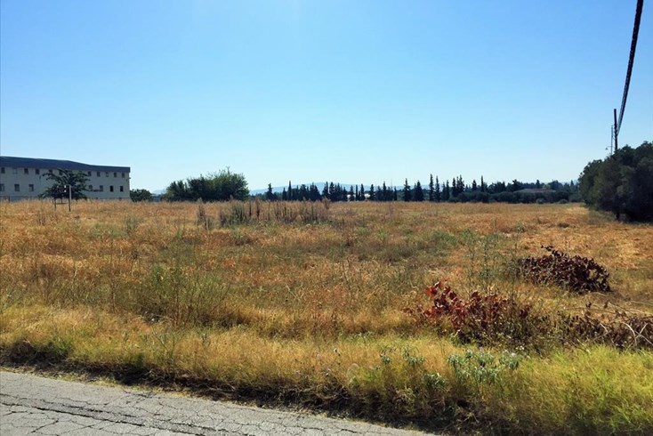 Realty photo 1