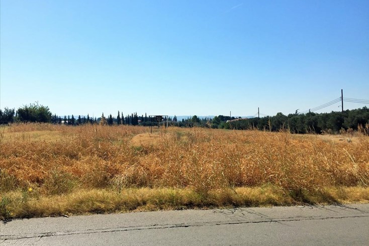 Realty photo 3