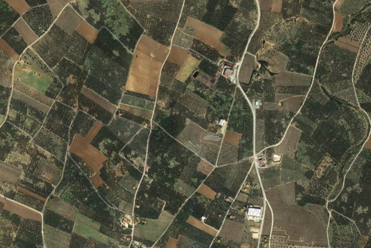 Realty photo 2