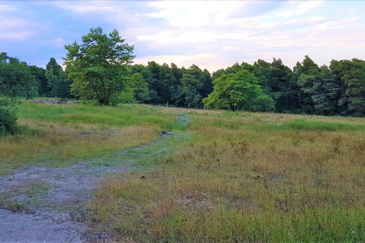 Realty photo 1