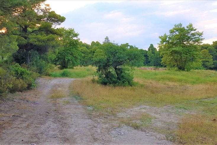 Realty photo 2
