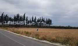 Terrain 10000 m² à Kassandra (Chalcidique)