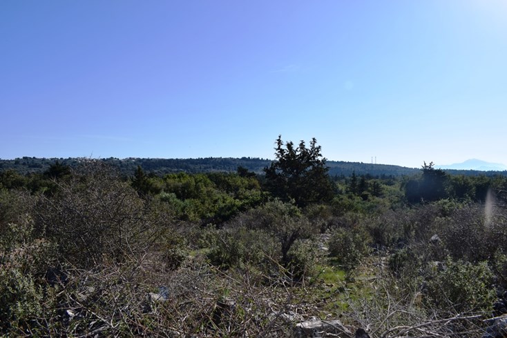 Realty photo 3
