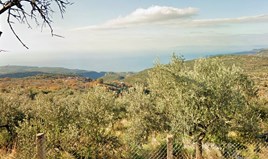 Land 2000 m² in Eastern Peloponnese
