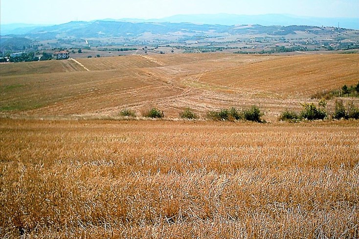 Realty photo 2