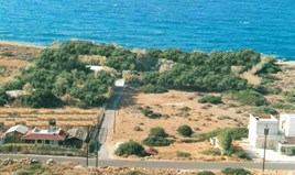 Земельна ділянка 14776 m² на Криті
