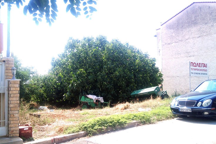 Realty photo 1