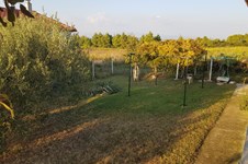 Property 33651 photo 22