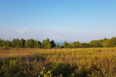 Property 33651 photo 18