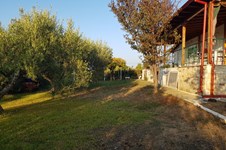 Property 33651 photo 21